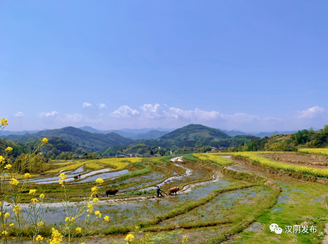 有关赞美春耕的唯美诗句的好句摘抄（春耕田园，神采飞扬）