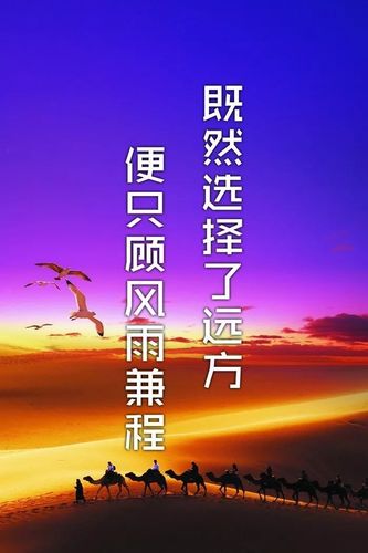 有关踏实努力励志的唯美句子的句子摘抄（踏实努力，创造辉煌）