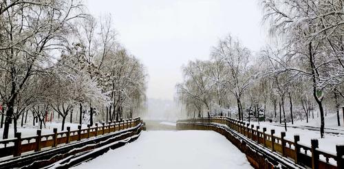 春雪的优美诗句（春雪轻舞，美丽如诗）