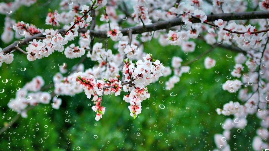 求关于雨的唯美诗句或句子（雨落心间）