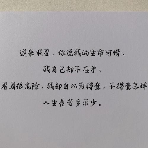 致自己精辟人生感悟句子,句句精彩（探寻人生的真谛，品味唯美的自在）