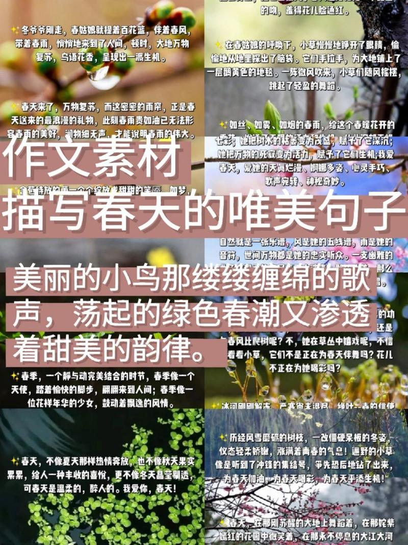 有关春天的优美句子和段落摘抄（绿意盎然，花香四溢，春天的美丽让人心醉）