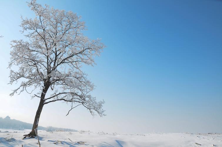 含有雪的唯美诗句（白雪皑皑，一片寂静）