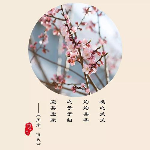 关于桃花的句子简短（桃花的唯美之姿）