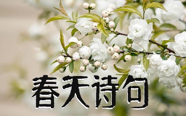 关于带花的诗句有哪些（花开时节，寻找那些唯美的诗句）