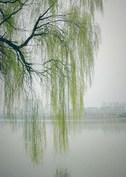 表达春天的诗句怎么写（春暖花开）