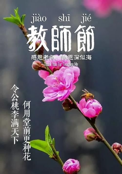 关于歌颂老师的经典诗句有哪些（教育如春风，老师是引领者）