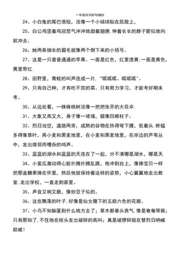 一年级好词好句积累优美的句子（一年级新生活，新起点）