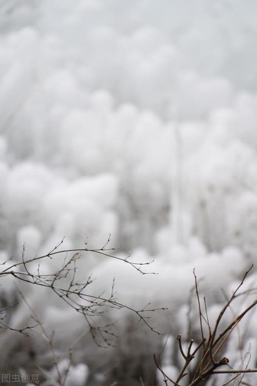 描写大雪的诗词句（探秘大自然中的奇妙之美）