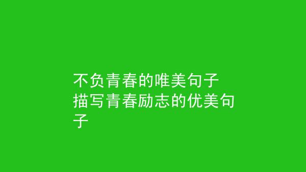 有关为公司贡献的励志唯美句子的好句有哪些（公司的贡献——点亮梦想的火炬）