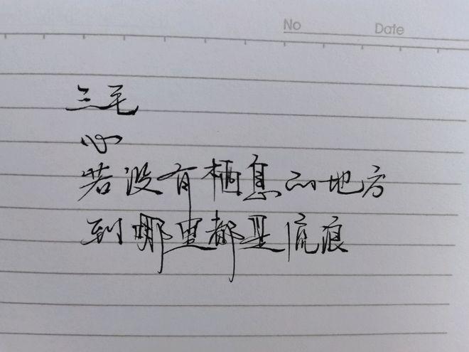 有关三毛语录经典唯美句子的好句摘抄（深情文字醉人心，感受生命的真谛）