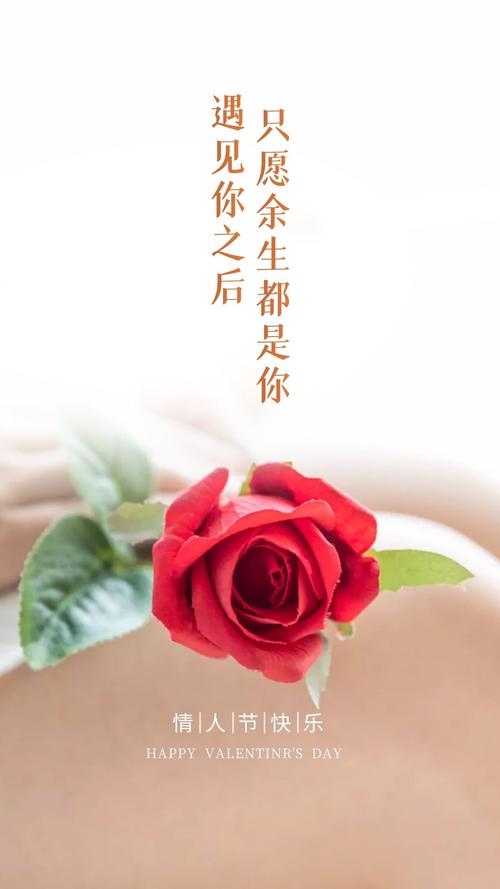 适合情人节发圈的句子（甜蜜唯美，情人节短句赏析）