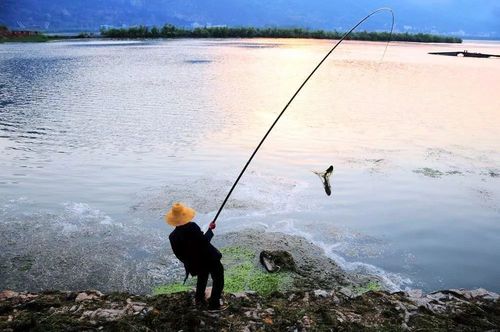 一人一杆钓鱼伤感诗句（一人一杆钓鱼，悠然自得）