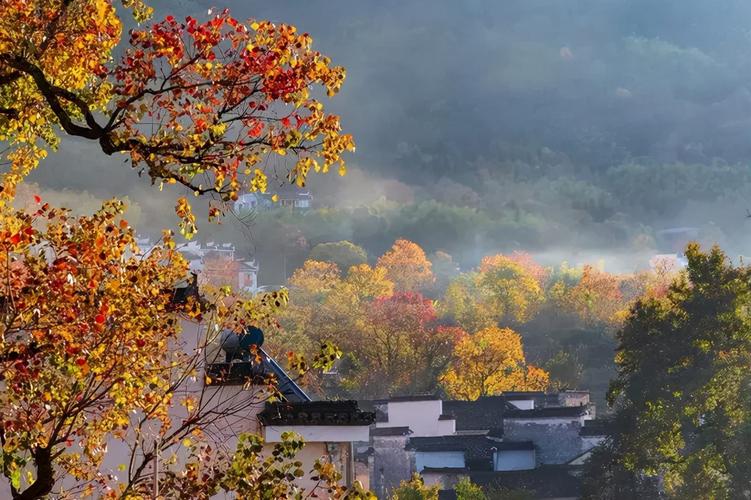 农村好风景唯美句子（乡野诗意，唯美风景）