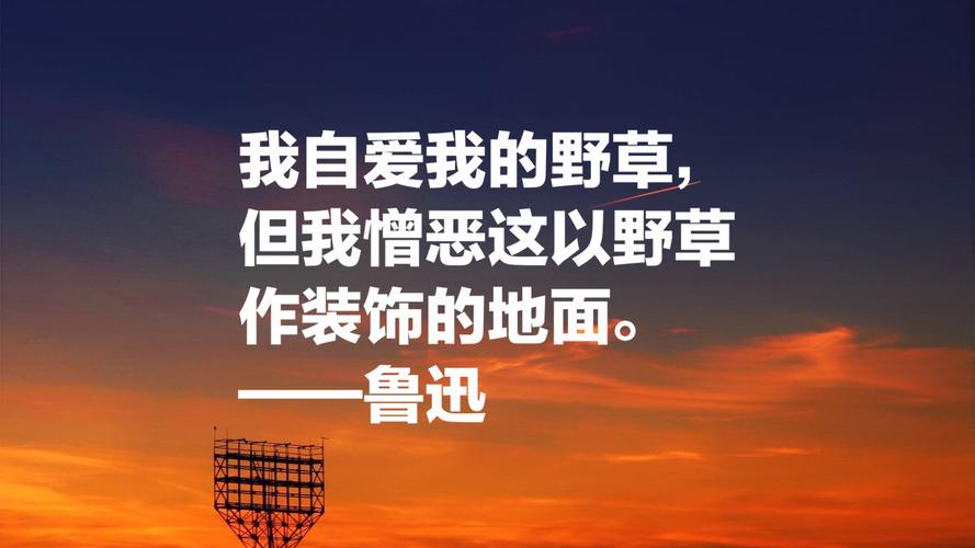 鲁迅讽刺名言名句,经典语录（讽刺中的唯美）