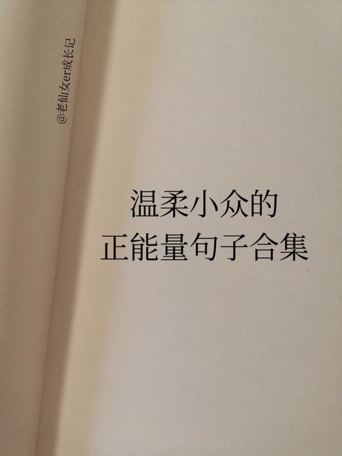 有关温柔且小众的唯美句子的句子摘抄（温暖与光影：小众唯美句子的魅力）