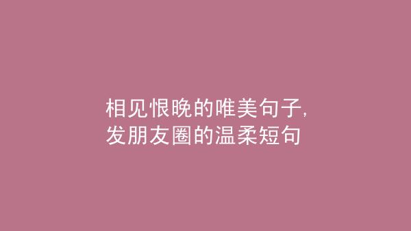 有关表达爱意的温柔唯美句子的句子有哪些（爱意温柔）