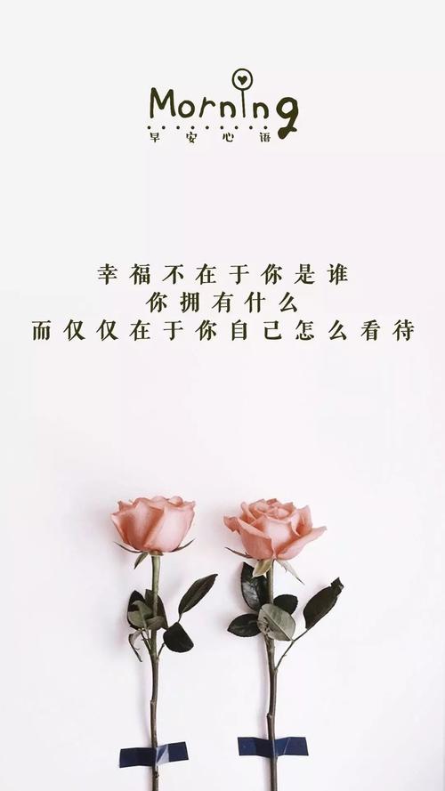 成熟干净的句子（清新如水，美丽如梦）