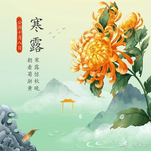 寒露 节气的诗句（寒露之美）