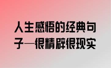 有关精辟人生的唯美句子的好句有哪些（追寻唯美人生的秘密）