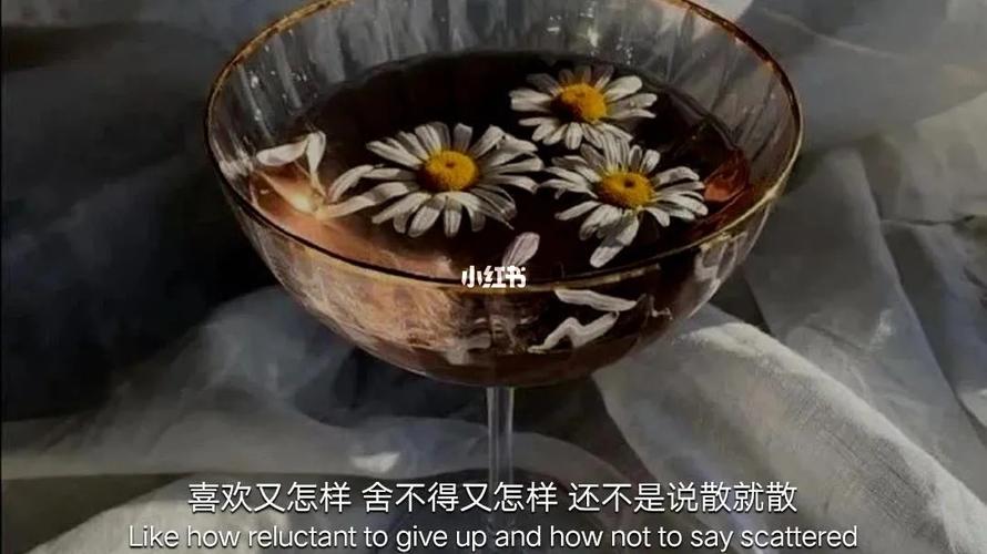 心酸的句子简短的10字（唯美心酸——追寻内心深处的美好）