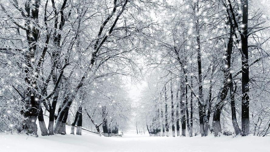 关于雪景的优美句子简短（《雪落江南》-唯美雪景的诗意世界）