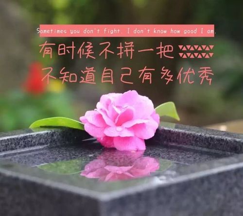 唯美温柔句子大全（25个让你感动心灵的句子）