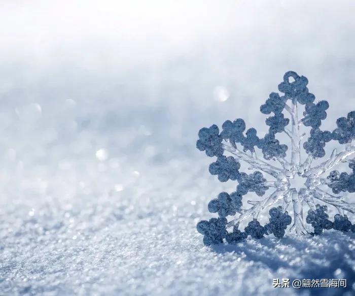 雪花随风飘扬，大地白茫茫一片（推荐25句唯美雪花诗词句）