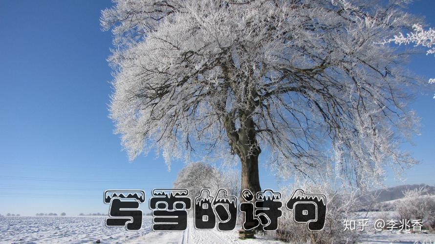 关于描写雪花的句子（《雪落轻柔，洁白如银》）