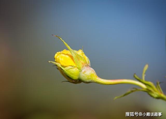 深入人心的句子,说到心坎（深入人心的经典语录）