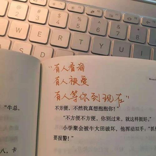 适合你所有情绪的文案（《平凡中的惊艳》）