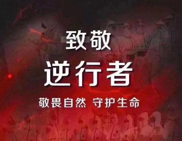 抗击疫情励志语录经典短句（疫情中的美好——以唯美短句为主的励志文章）