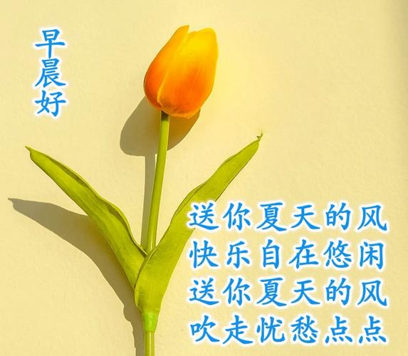 有关公司祝福唯美句子的好句子简短（相聚在这片蓝天下——公司祝福语）