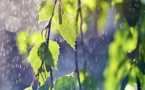 有关下雨了写一段心情说说唯美句子的句子（雨夜的心情——洒落的悸动）