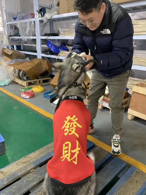 祝老板一路顺风的句子（祝老板顺风顺水顺财神顺口溜唯美句子）