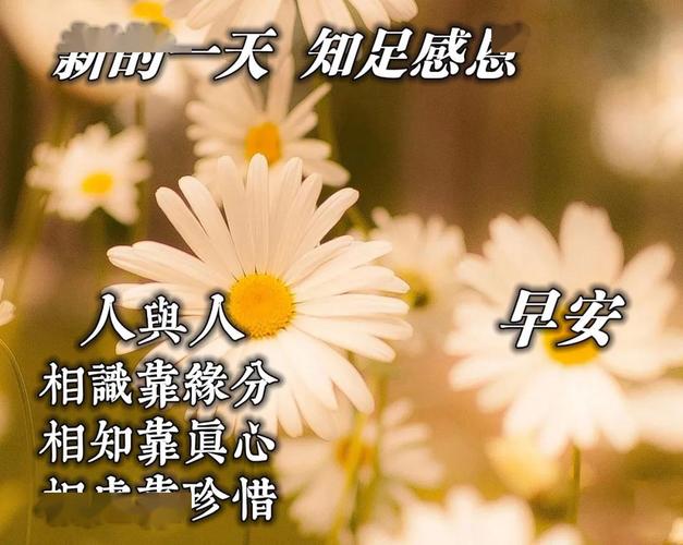 关于企业祝福语大全（以唯美短句为主，用心祝福企业的未来）