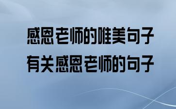 感恩生活的句子正能量（感恩生活，珍惜每一个美好瞬间）