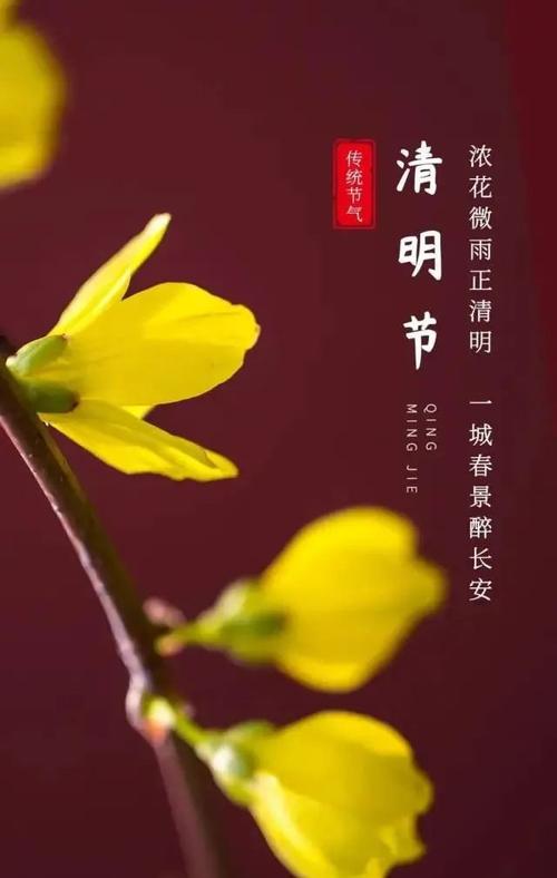 清明节产品文案（那些让人心醉的清明节美好回忆）