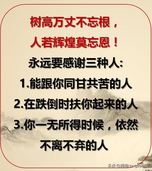 有关感恩成长唯美句子的句子有哪些（感恩成长）