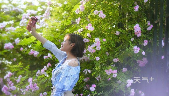 形容一个男人沾花惹草的诗句（沾花惹草，终究是败笔）