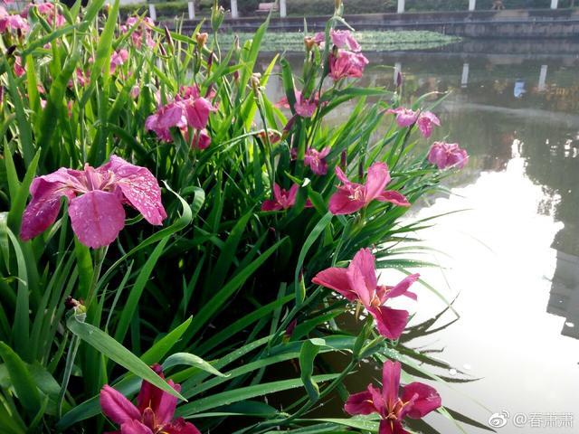 温柔夏天的句子（超级温柔的初夏）