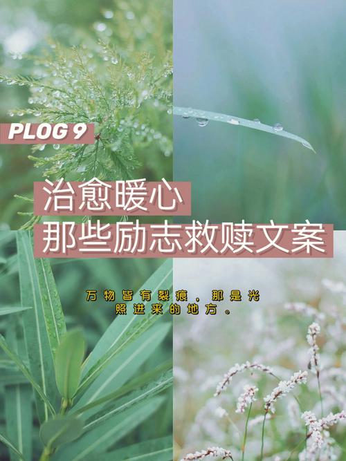 短文治愈救赎（用爱拯救所有伤痛）