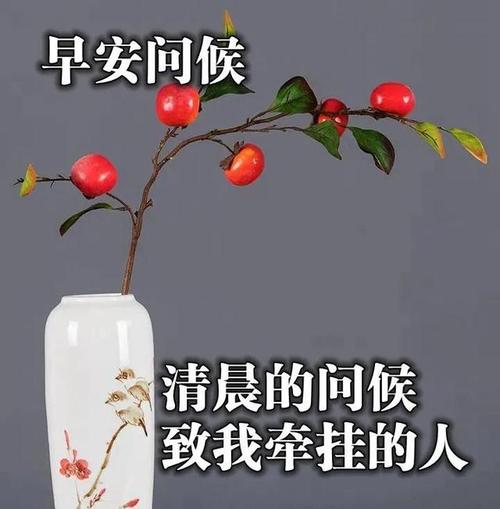 有关早安的唯美句子大全（早安，朝阳）