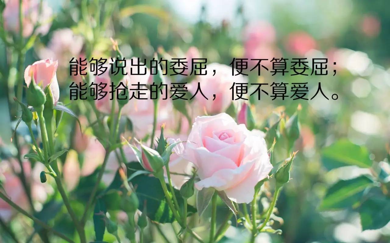 关于心态的经典短句（心态美好，人生无忧）