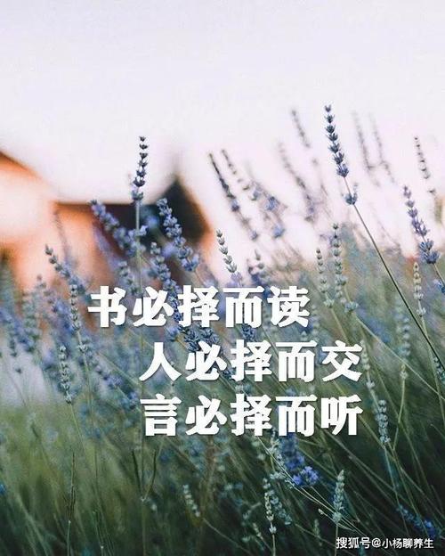 励志的唯美语录（行走人生路，励志唯美句子）