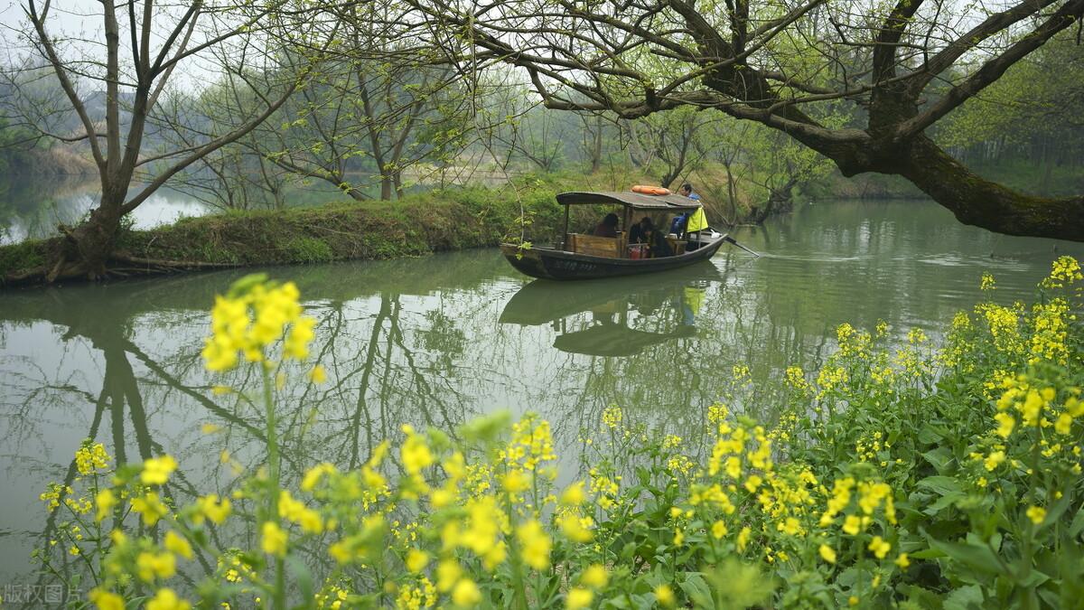 春风经典诗词大全（万般柔情，寄语清风）