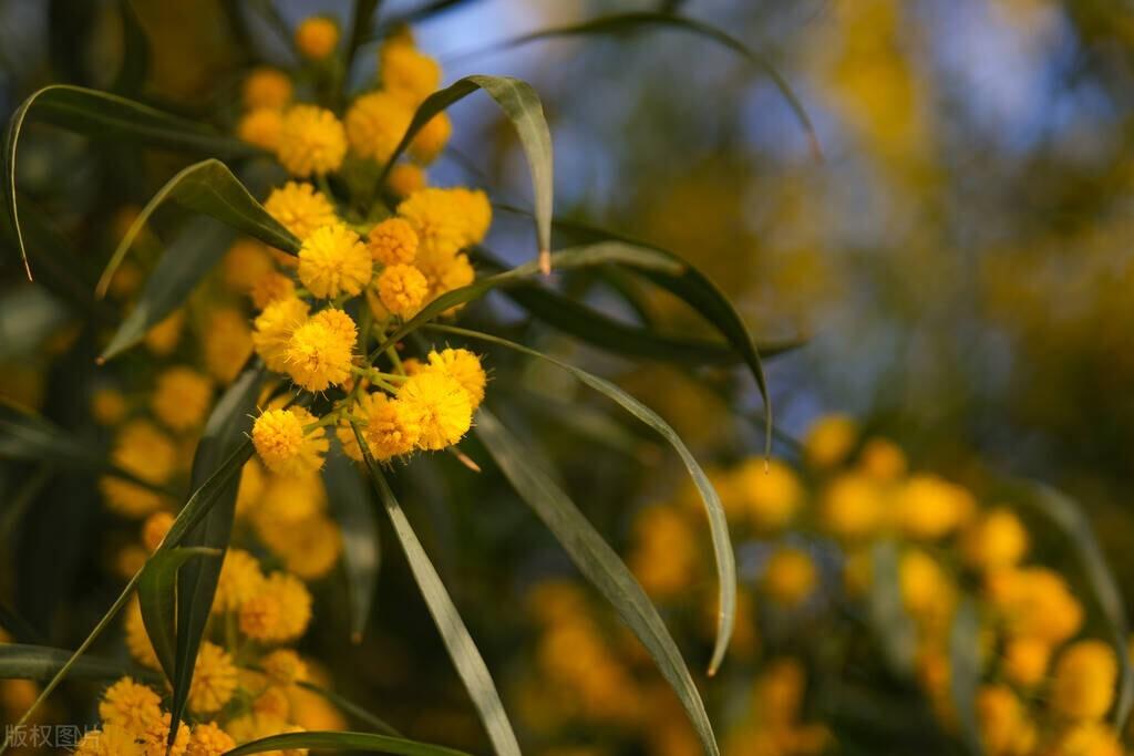 寒冷的季节，温暖心房（四首冬天里的诗词）