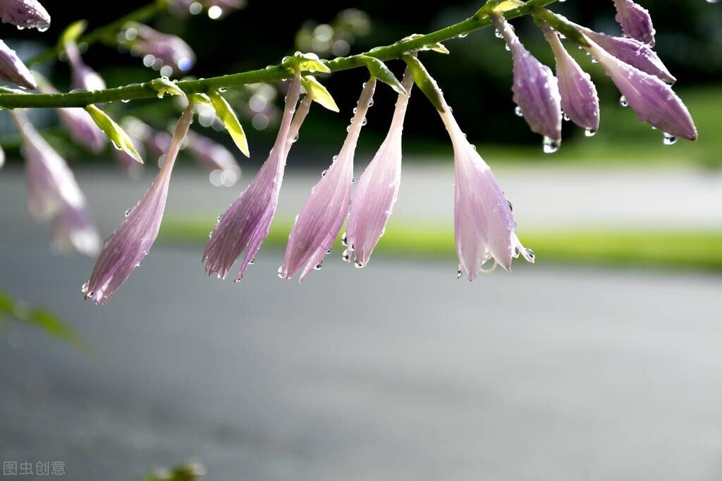 秋雨天凉经典诗词名句（五首秋雨中的诗词）