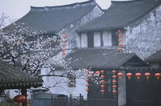 小楼听雨，雨中观花（6首优美春雨诗词）