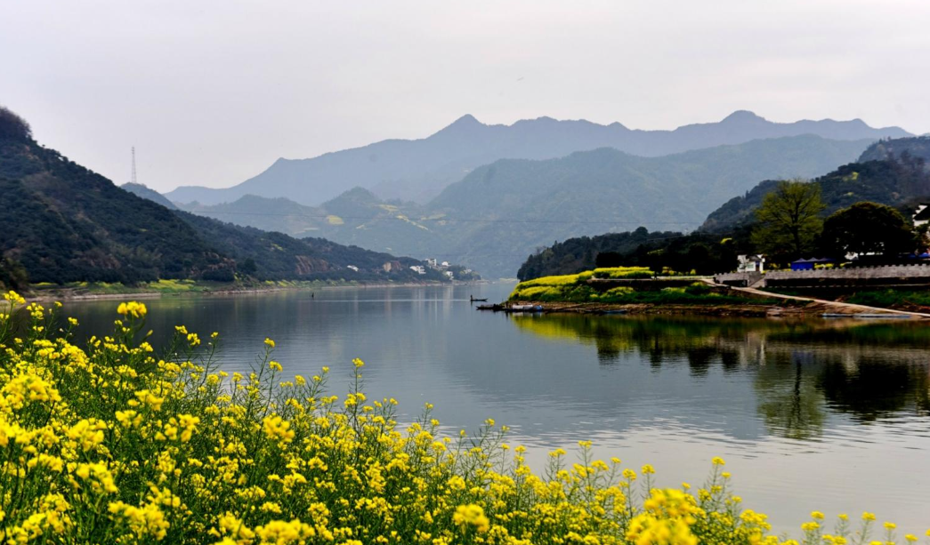 思乡经典古诗词（鸟瞰金汤心花放，满目春光尽是景）